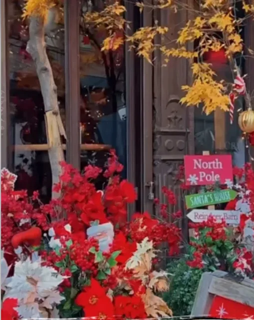 Loreley Beer Garden Restaurant 🍻