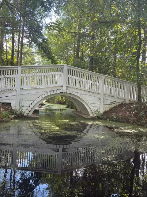 A Fairytale Day in Charleston