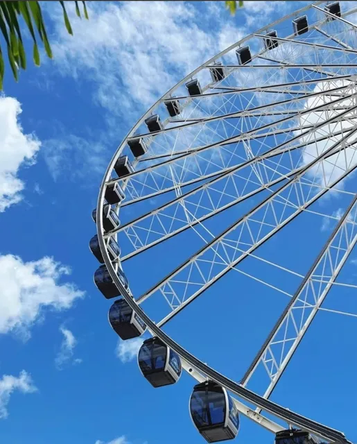 ​​Ultimate Miami Travel Guide | Art, Beaches & Underwater Adventures​​