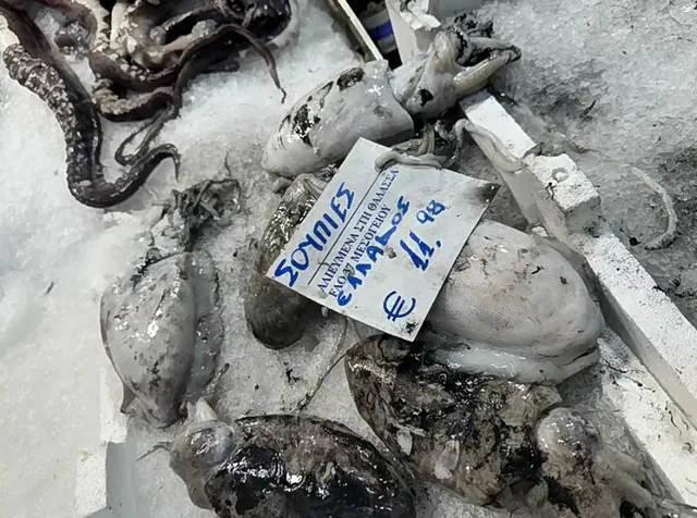 Kapani Fish Market: A Culinary Journey in Thessaloniki, Greece