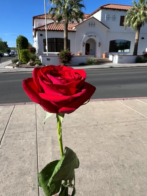 🇺🇸 Arizona | Stories of a Small City – Goodbye, Tucson ✨