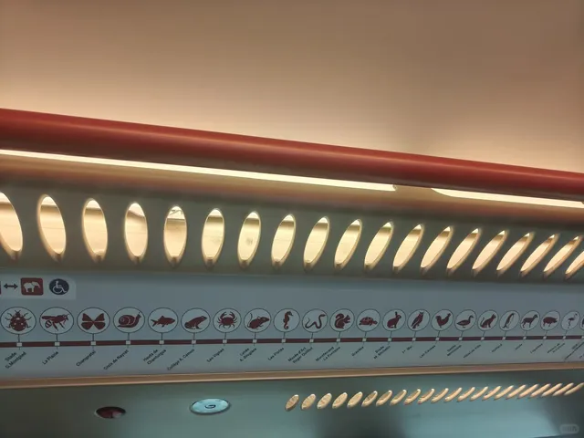 Chill Travel Diary: Clermont-Ferrand �💤