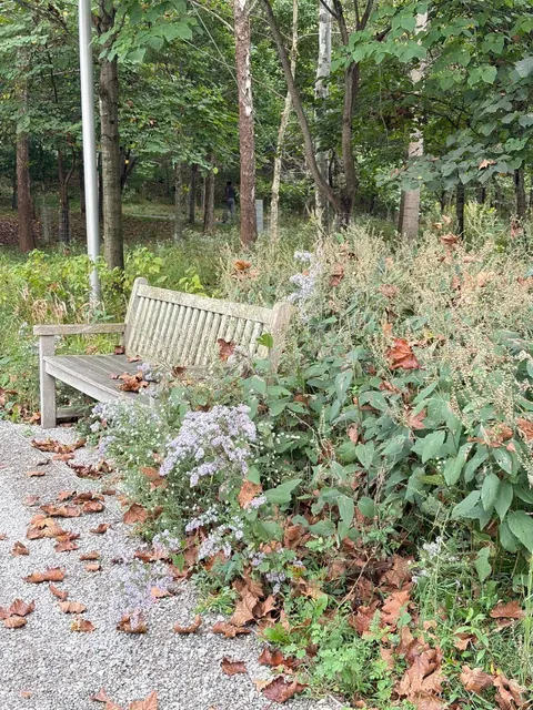 The Most Healing Art Museum Near DC! 🦋✨