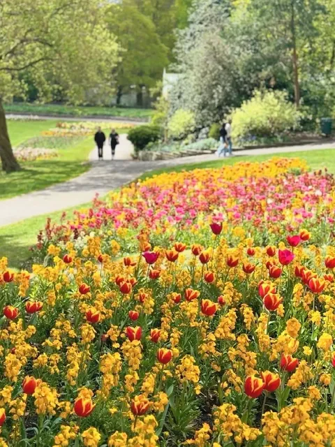 🌳 Richmond Park is Absolutely Stunning on a Sunny Day 
