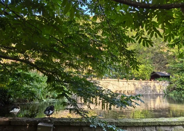 Gothenburg: the “green lung” of the city