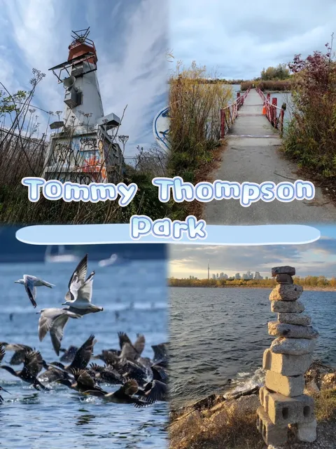🇨🇦 Toronto Hidden Gem | Tommy Thompson Park 🪨