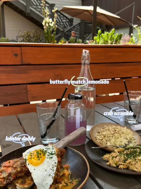 New Orleans | Bearcat Cafe ☕️