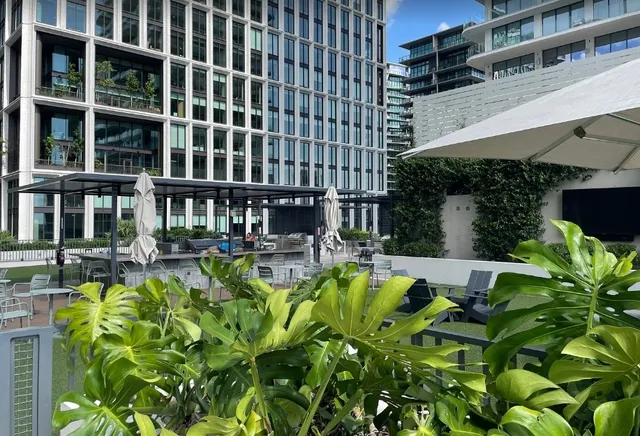 A Wonderful Holiday at a Tampa Hotel!