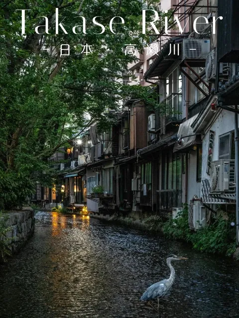 Kiyamachi Street 🌸