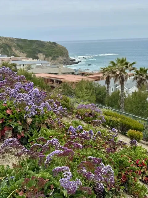 Dana Point – Where the Ocean Meets the Sky! 🌊✨