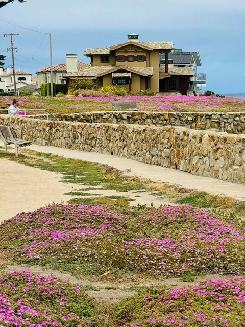 🇺🇸 Northern California｜Relaxing 1-Day Monterey Guide 😎🌊