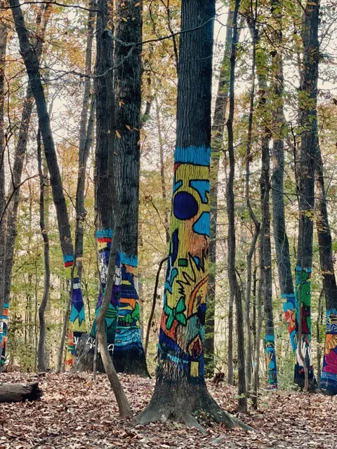 🌳 DMV Hiking | Hidden Gem near Baltimore – Oregon Ridge Park 🍂🚶‍♀️