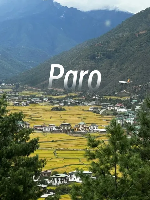  Recommended Bhutanese State Banquet-level Restaurants