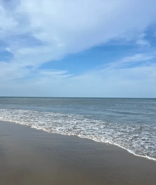 🌴 No Need to Fly to Miami—VA Beach Gives You the Full Resort Vibe! 🏖