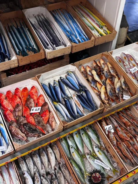 🇮🇹 Sicily｜The Calico Shopkeeper Runs a Fish Store (But You Can’t Eat