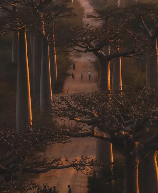 The Perfect Tour for Free Spirits & Planners Alike!