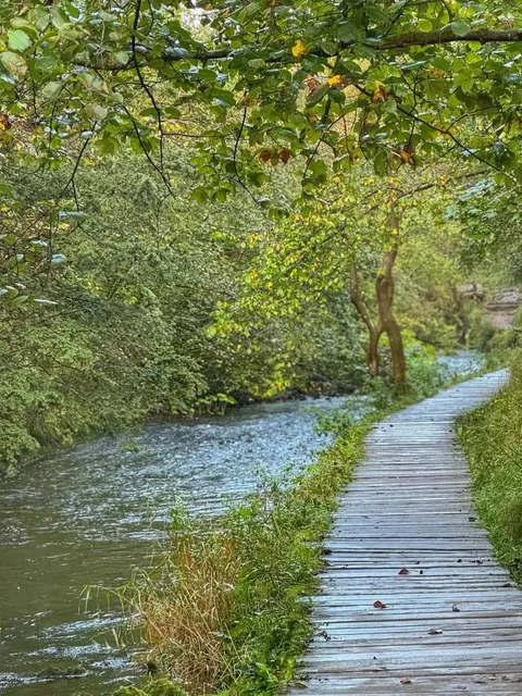 🇬🇧 ​​Dovedale: Britain's Own "Jiuzhaigou" with Glowing Rivers!​​ 💎