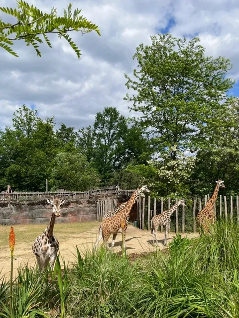 🇳🇱 GaiaZOO: Where Wildlife Meets Family Fun