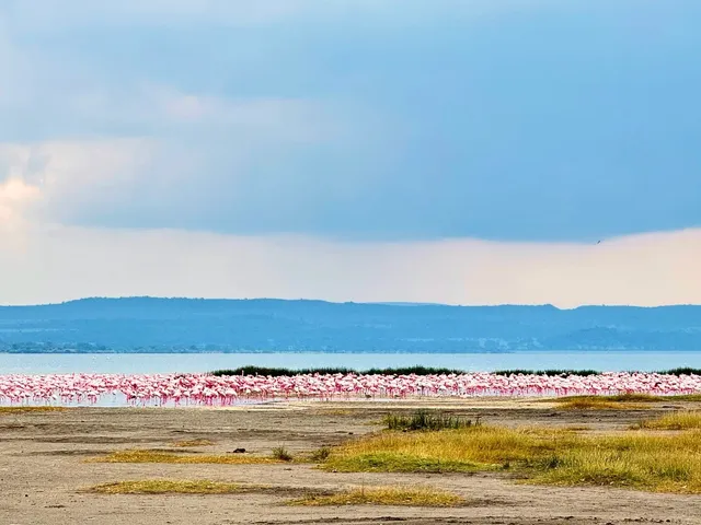 🇰🇪 Kenya Gap Year Adventures (Part 2)