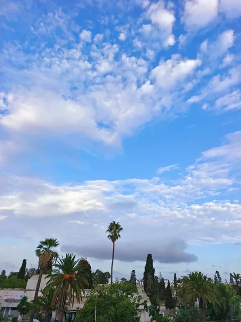 Tunisia - Hammamet 🏖️🌴