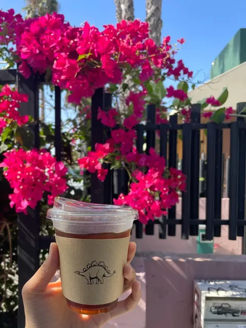 Los Angeles Little Dinosaur Coffee Shop 🦕☕️