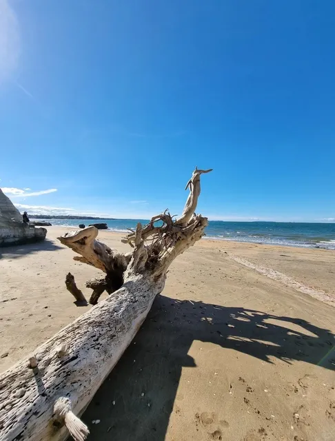 This Auckland Beach 🏖️ is Literally a Windows Desktop Wallpaper!