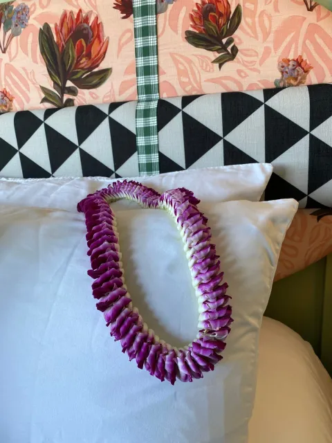 Amazing Vibe, Absolutely Perfect! 🌺