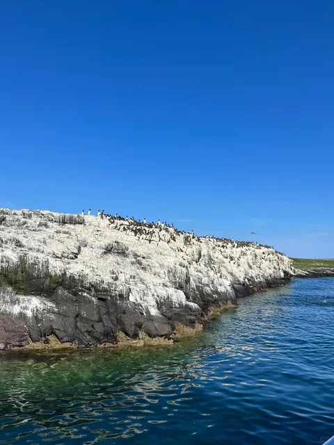 Farne Islands