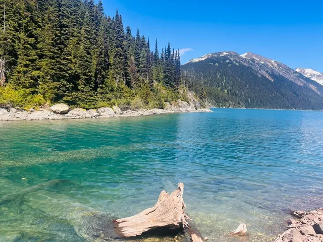 🇨🇦 Revisiting Garibaldi Lake