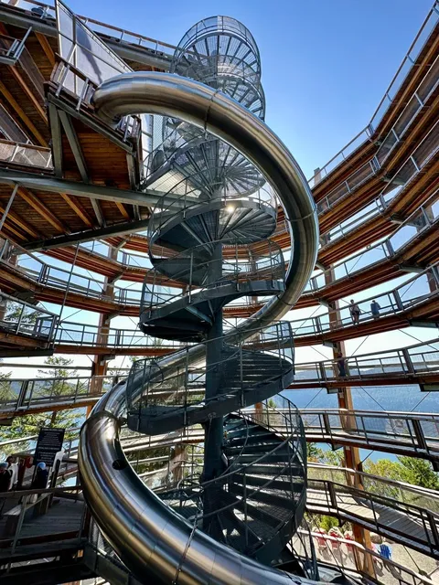 🇨🇦 Malahat SkyWalk | Victoria's "Path to the Sky"  