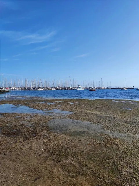 🇦🇺 Geelong as The Great Ocean Road’s First Stop? Meh. 🐔