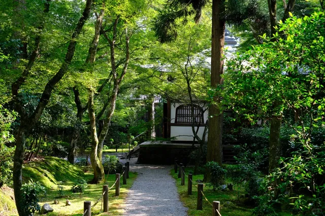 🌸🍂 Suzumushi-dera (Hokyou-ji) 🍂🌸