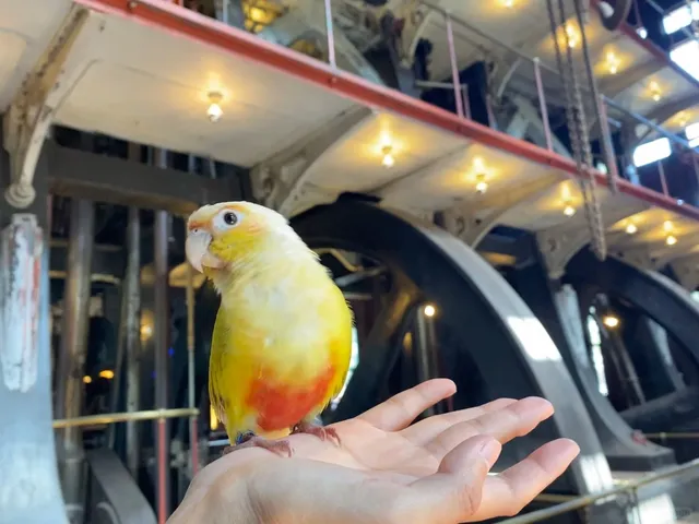  Where Steam-Powered Giants Quenched Boston’s Thirst 💦 