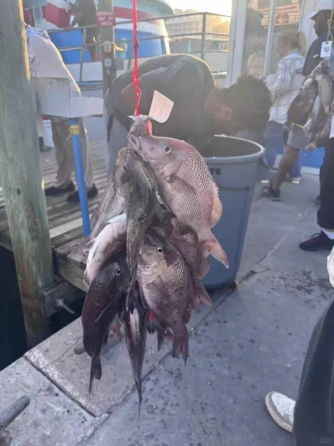 🇺🇸 Must-Try in Tampa: Deep Sea Fishing 🎣