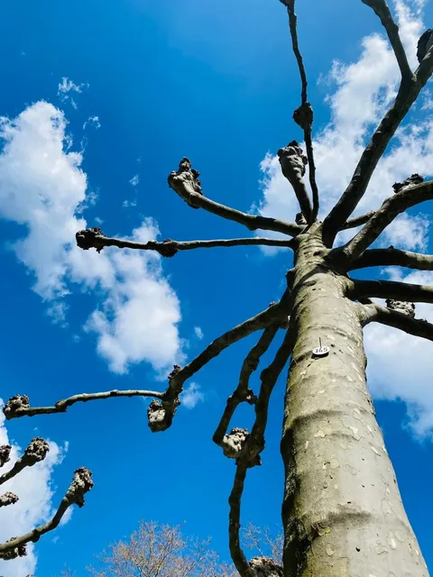 🇩🇪 Wiesbaden: Where German Sunshine Feels Like Champagne! ☀️✨