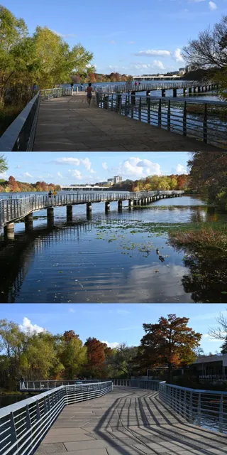 🌅O. Henry Museum（1）