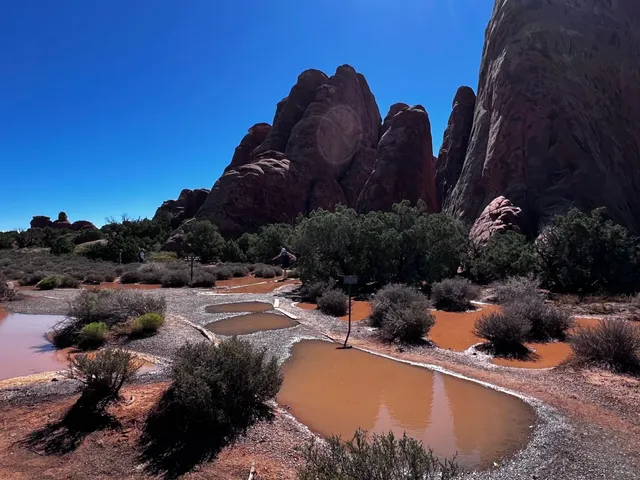 What a Waste to Visit Moab Without Off-Roading! 🚙💨