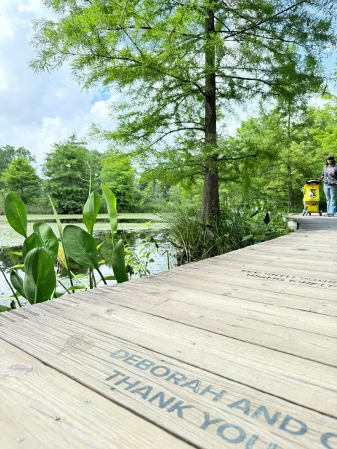 Houston’s Best-Kept Secret 🌿💎