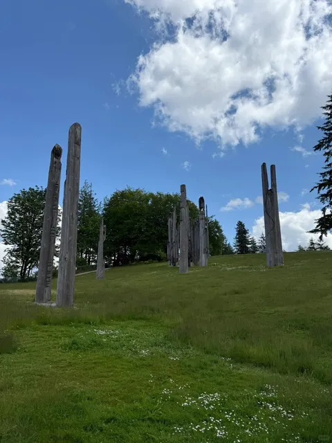 Burnaby Mountain's Filter-Free Beauty