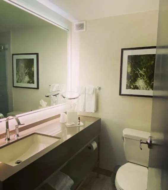 🏨 Hyatt Regency Savannah | The Classic Riverfront Anchor