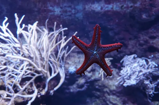 🇩🇪 Germany Travel Guide | One Day in Leipzig