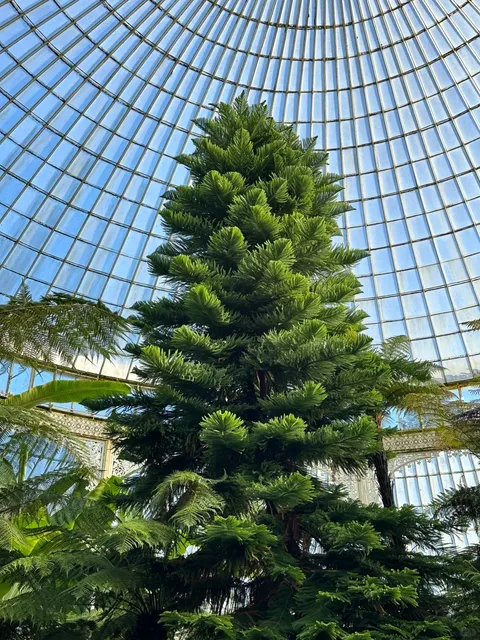 🌿 Glasgow: Embrace the Green and Nature ！🌳💚