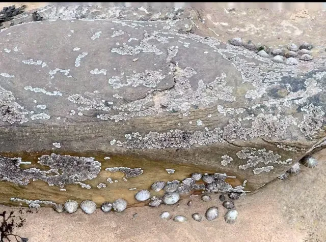 A day trip to Newcastle 