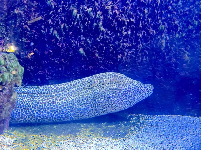 Cologne Zoo Aquarium🐠 