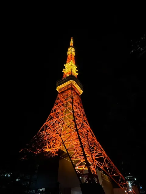 🌿🍃 Tokyo Tower 🌿🍃