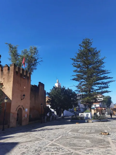 Morocco’s Instagram-Famous Blue Wonderland📸(1)