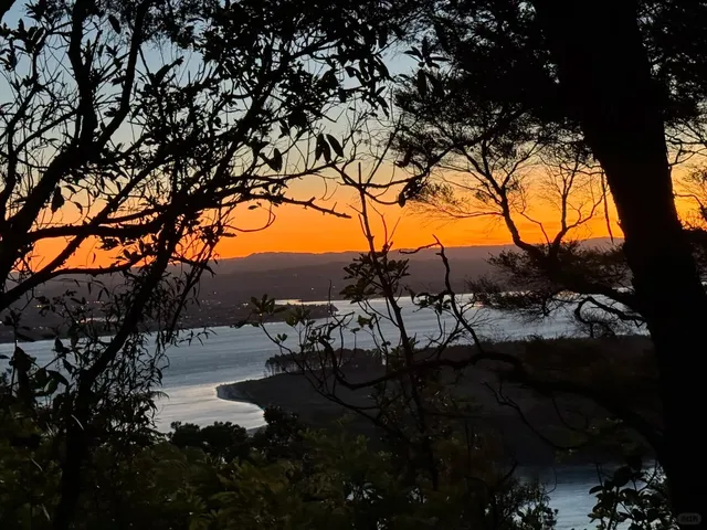 🇳🇿 NZ Highway 35: The East Coast's Hidden Gem Road Trip!