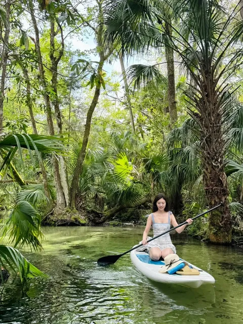 Exploring Tampa: The Enchanting Rainbow River