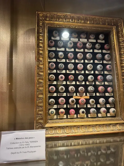 A Fascinating Journey Through Medical History! 🏥⚕️✨