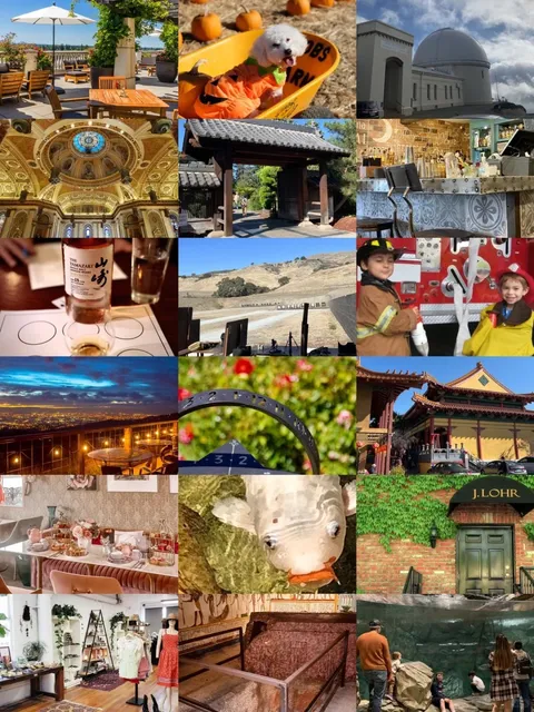 Where to Play in San Jose, Bay Area 🍭 23 Must-Do Activities 🌈